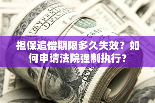 北京担保追偿期限多久失效？如何申请法院强制执行？