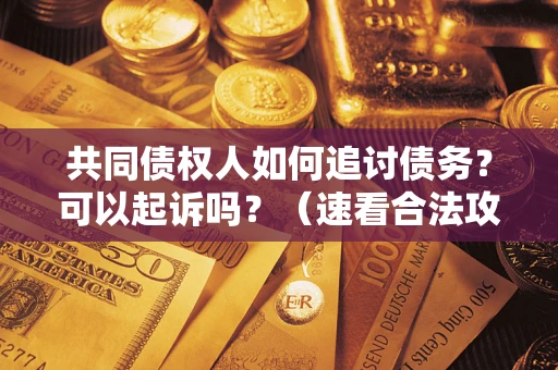 北京共同债权人如何追讨债务？可以起诉吗？（速看合法攻略）