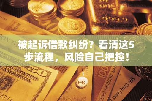 北京被起诉借款纠纷？看清这5步流程，风险自己把控！