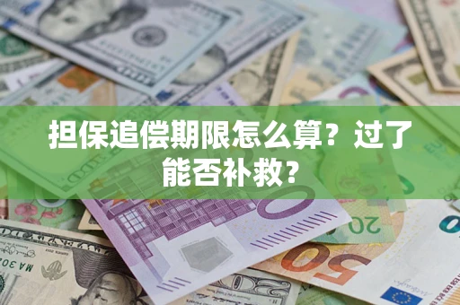 北京担保追偿期限怎么算？过了能否补救？